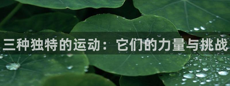 JJB竞技宝官网下载招商电话地址查询：三种独特的运动