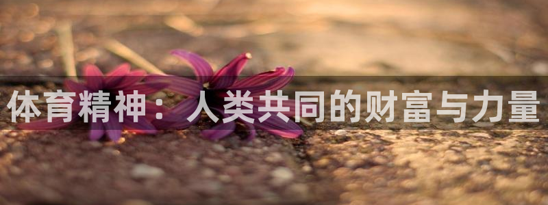 JJB竞技宝官网下载招商电话号码是多少啊：体育精神：