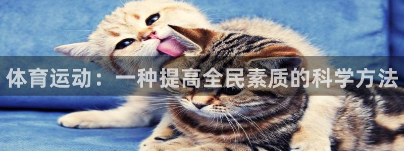 JJB竞技宝官网下载招商电话号码查询：体育运动：一种