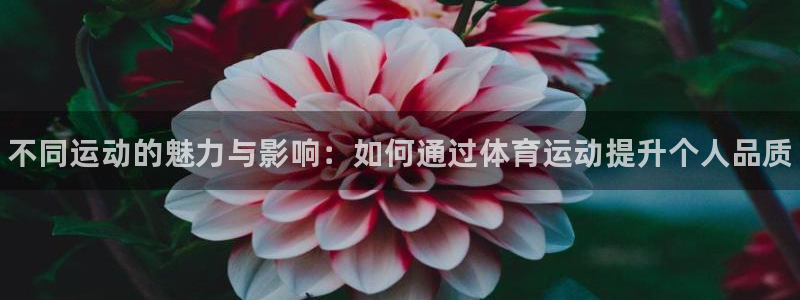 JJB竞技宝官方正版app集团logo：不同运动的魅