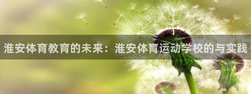 JJB竞技宝官方正版app新能源：淮安体育教育的未来