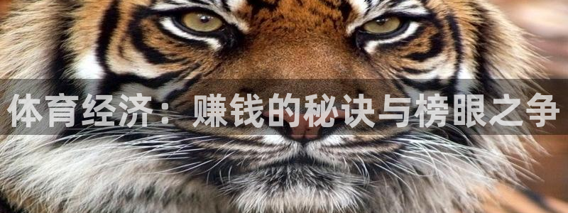 JJB竞技宝官网下载招商电话是多少：体育经济：赚钱的