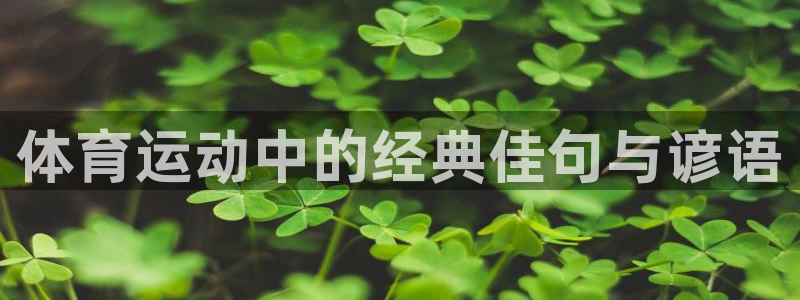 JJB竞技宝官方正版app五金厂：体育运动中的经典佳