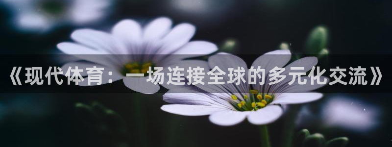 JJB竞技宝官方正版app开户：《现代体育：一场连接全球的多