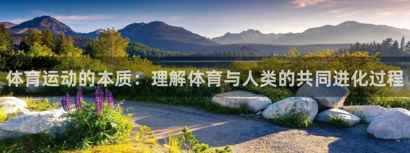 JJB竞技宝官网下载招商电话号码查询是多少：体育运动