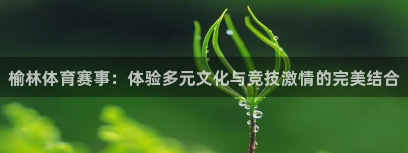 JJB竞技宝官方正版app科技：榆林体育赛事：体验多