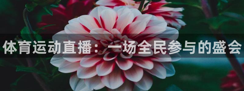 JJB竞技宝官网下载平台是正规平台吗安全吗：体育运动