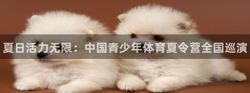 JJB竞技宝官方正版app集团logo：夏日活力无限