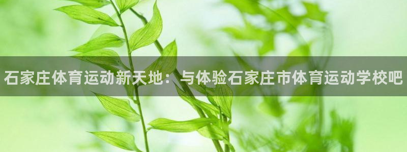 JJB竞技宝官方正版app集团官网网址
