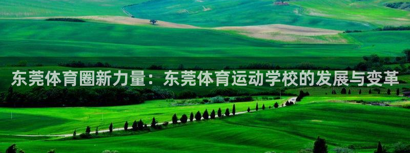 JJB竞技宝官方正版app娱乐平台：东莞体育圈新力量