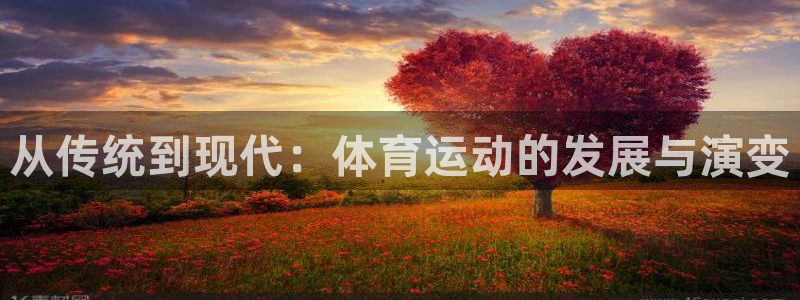 注册JJB竞技宝官方正版app：从传统到现代：体育运