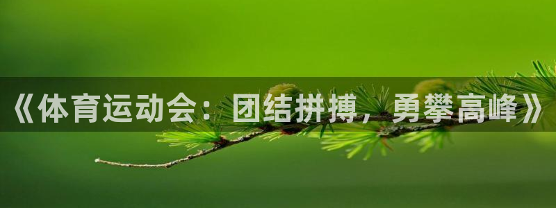 JJB竞技宝官方正版app集团logo