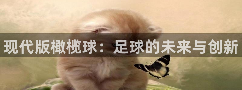 JJB竞技宝官方正版app新能源：现代版橄榄球：足球的未来与