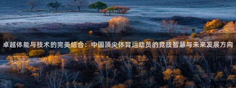 JJB竞技宝官方正版app娱乐平台：卓越体能与技术的