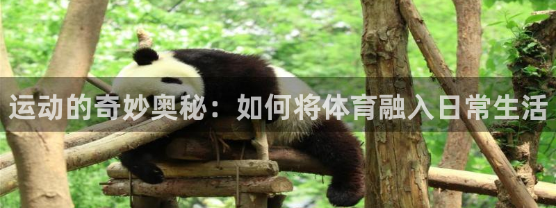 JJB竞技宝官网下载招商电话地址查询：运动的奇妙奥秘：如何将