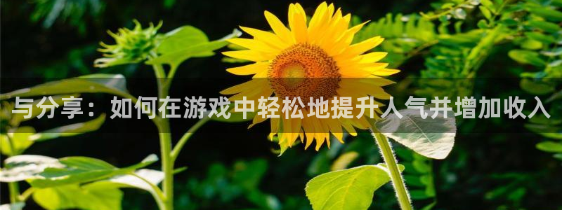 蓝鲸直播男：与分享：如何在游戏中轻松地提升人气并增加收入