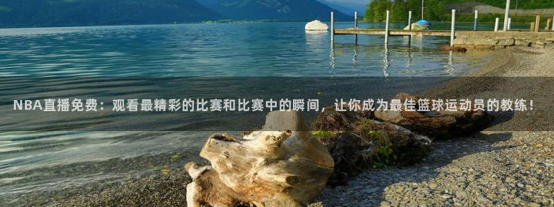 蓝鲸鱼直播app：NBA直播免费：观看最精彩的比赛和比赛中的瞬间，让你成为最佳篮球运动员的教练！