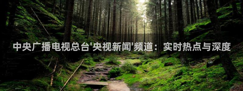 蓝鲸体育直播在线观看网球：中央广播电视总台\'央视新闻\'频道：实时热点与深度