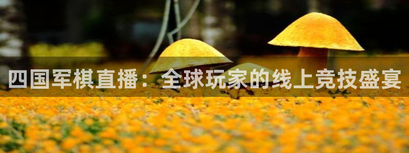 蓝鲸app直播：四国军棋直播：全球玩家的线上竞技盛宴